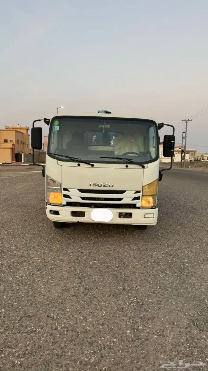 دينا اسيزو 2014 0