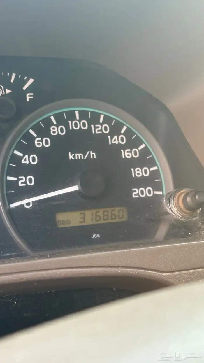 شاص عنابي 10