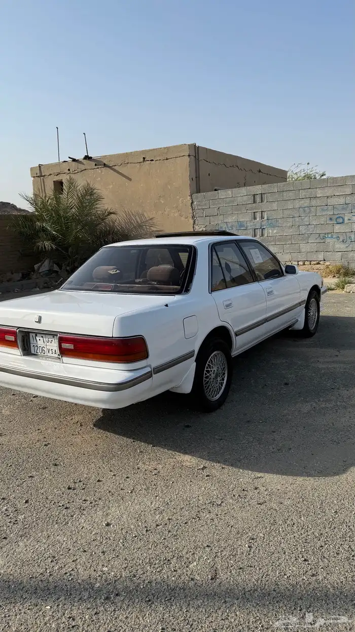 كرسيدا قراندي 1991 21