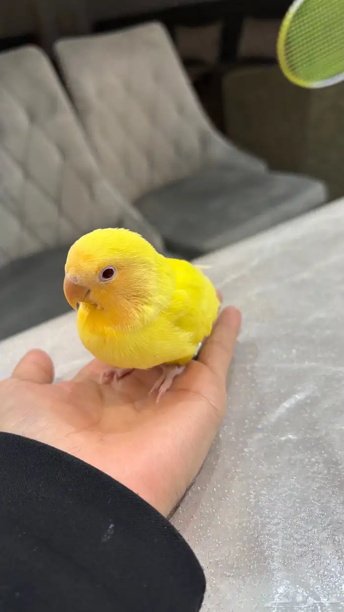 روز اليف جدا جدا 2