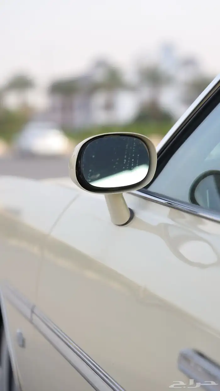 كابريس 1975 .. مخزن ( طلبيه ) 5