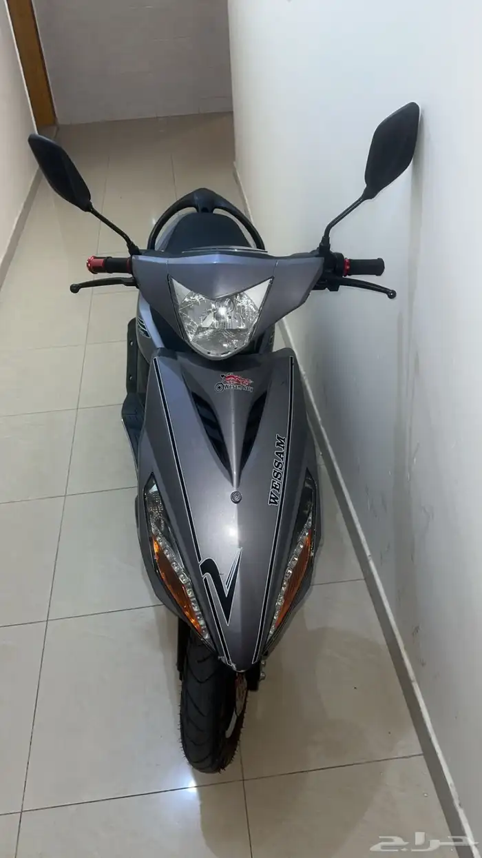 الدباب  بطة للبيع 1