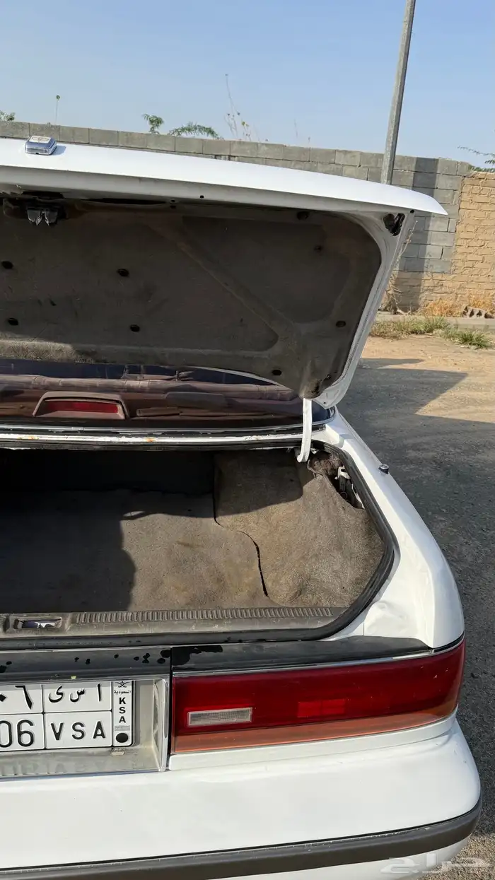 كرسيدا قراندي 1991 6