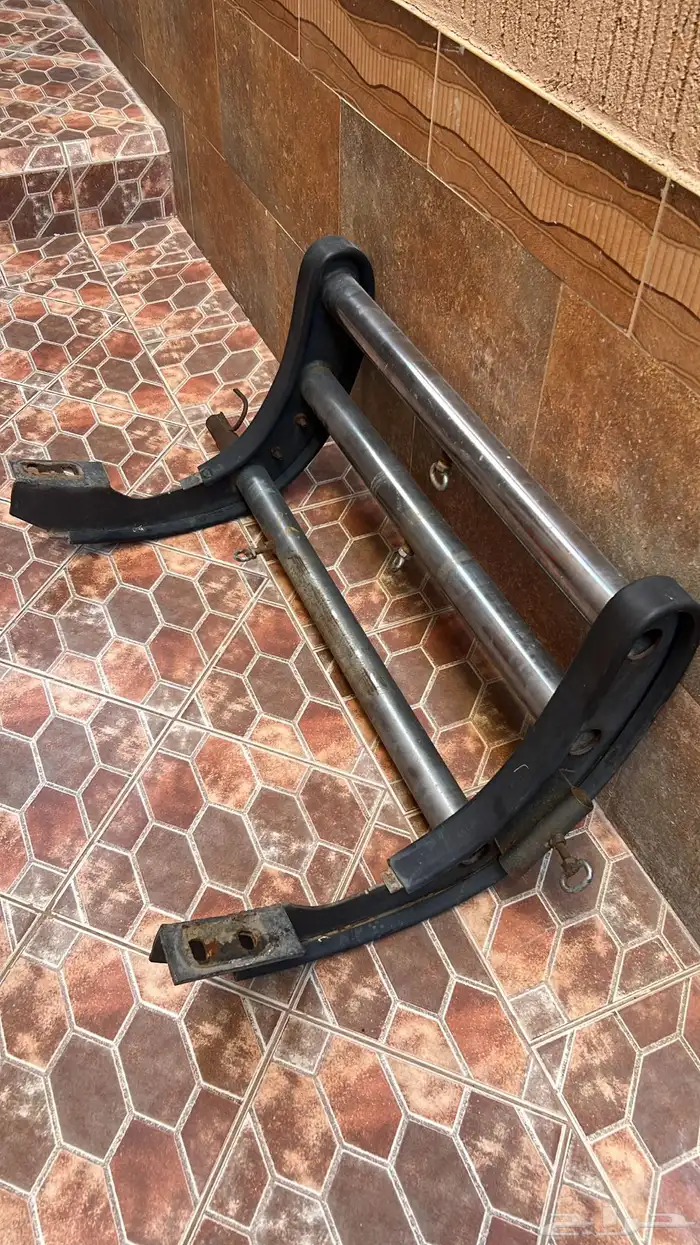 دعامية سكويا للبيع (معها علاقة ذبيحة) 0