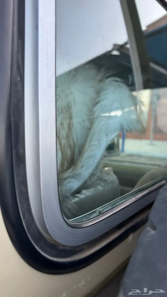 للبيع شاص مخزن 28