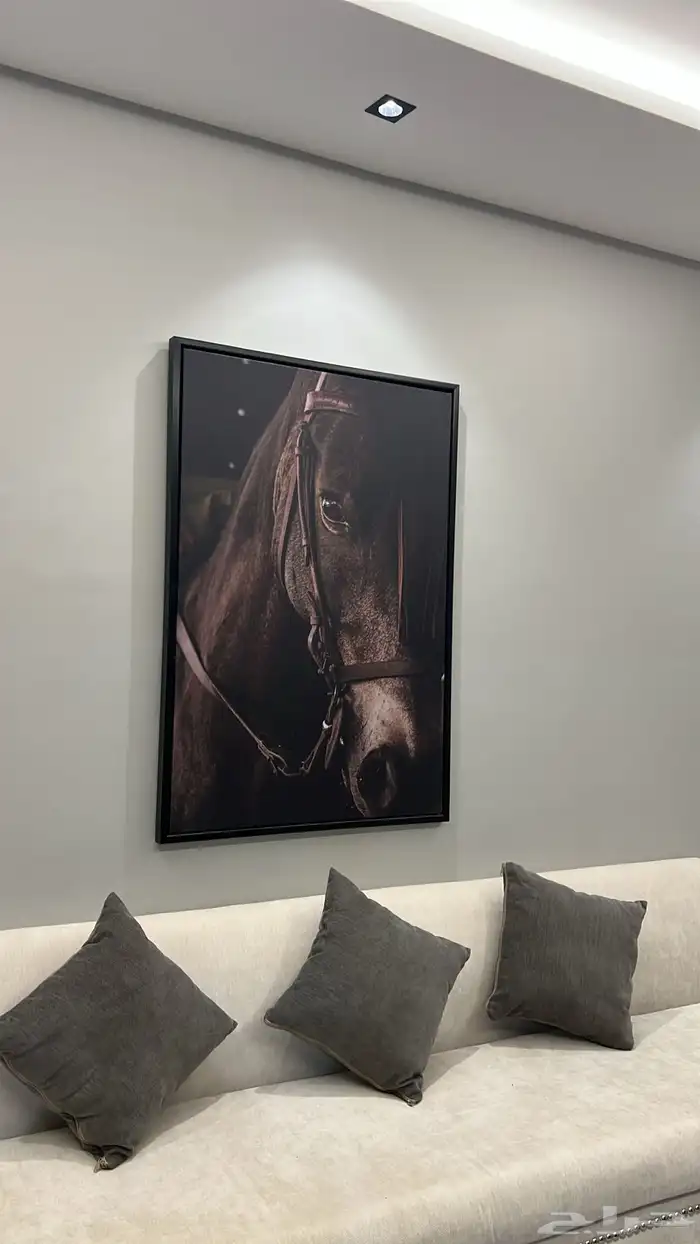 اسطبل هورس لاند للإيواء والتدريب 12