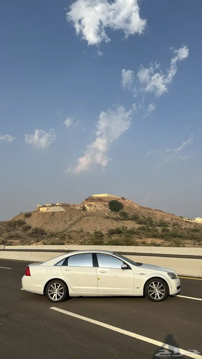 كابرس 2015 LS 12