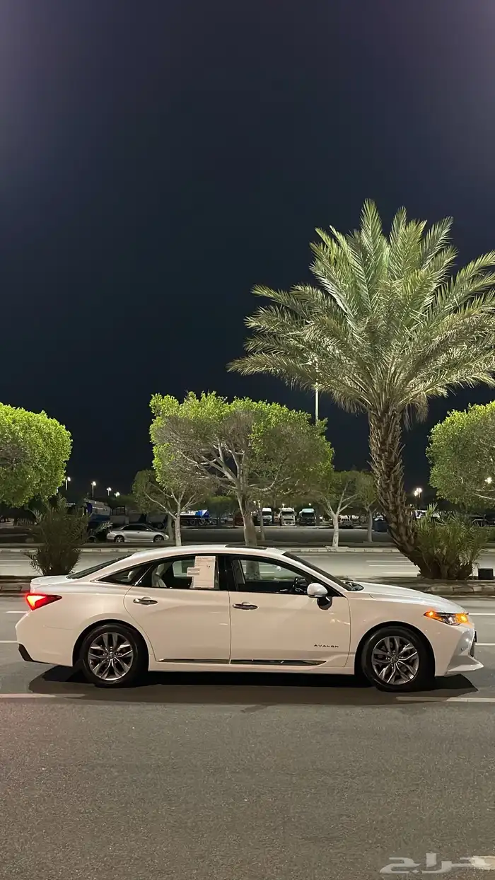 افلون 2020 تورنق 8