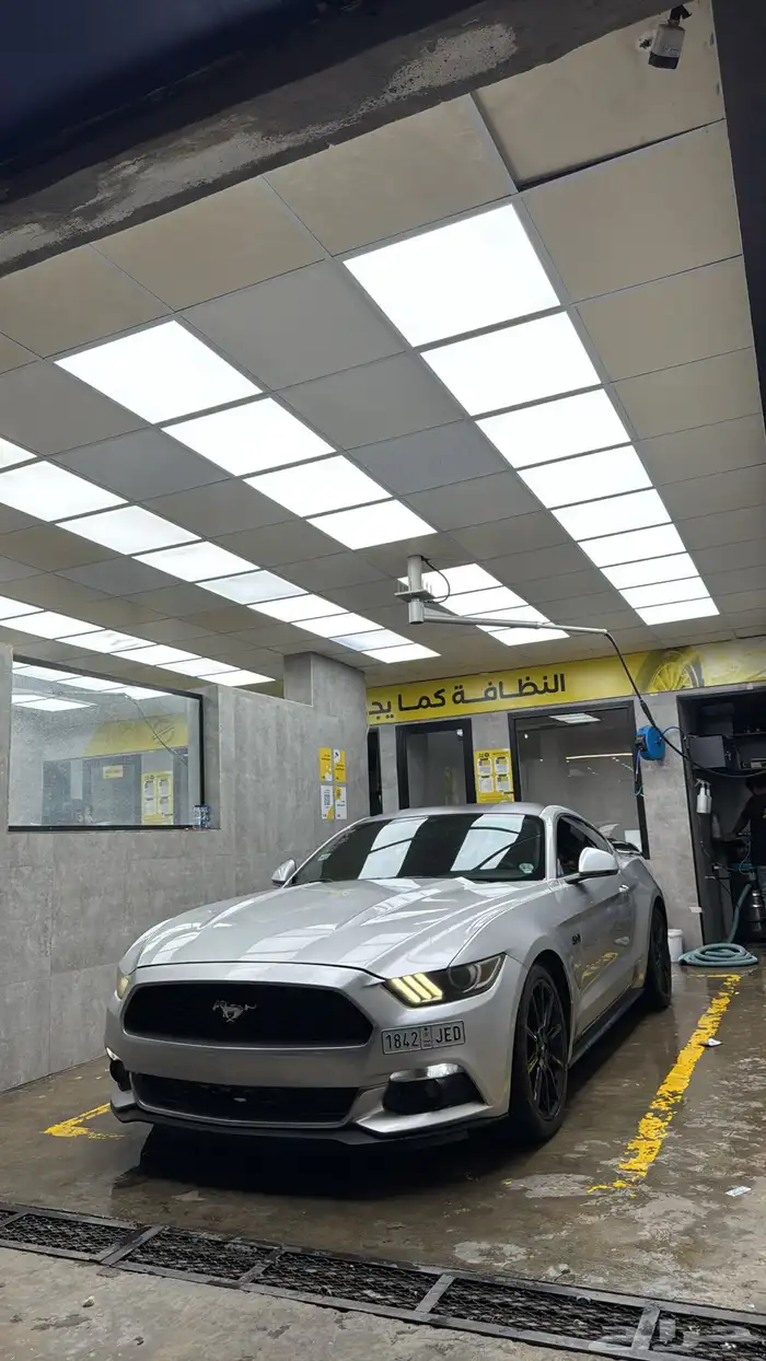 موستنج2015 6