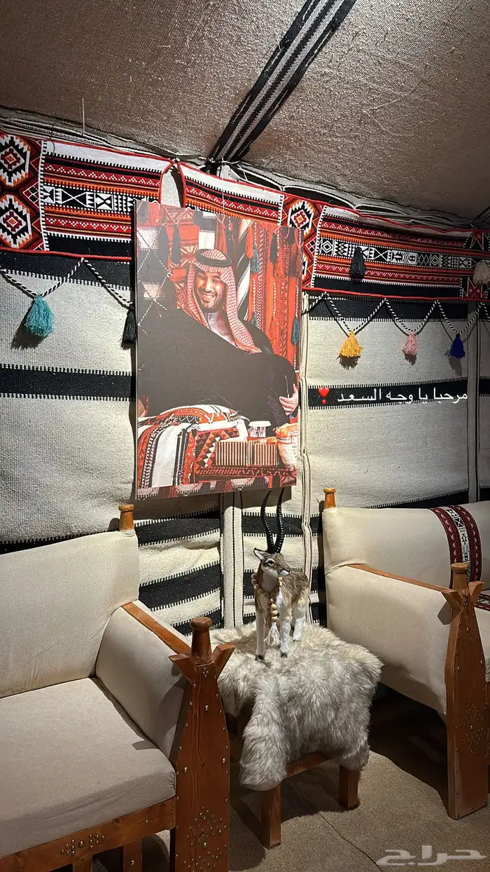 مخيم المملكة ايجار 6