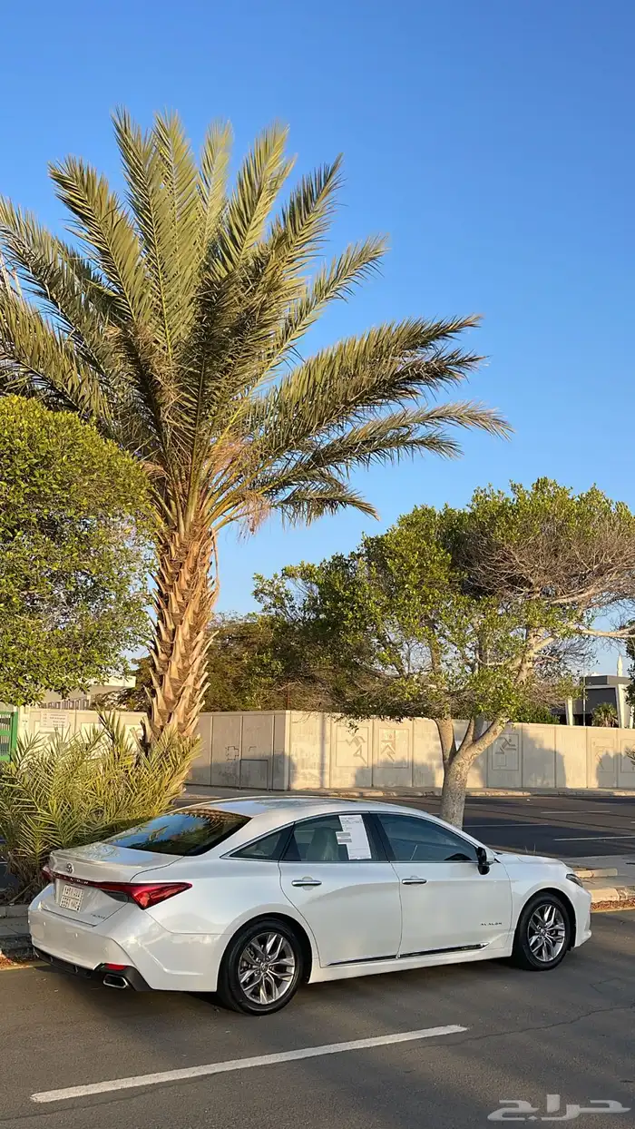 افلون 2020 تورنق 10