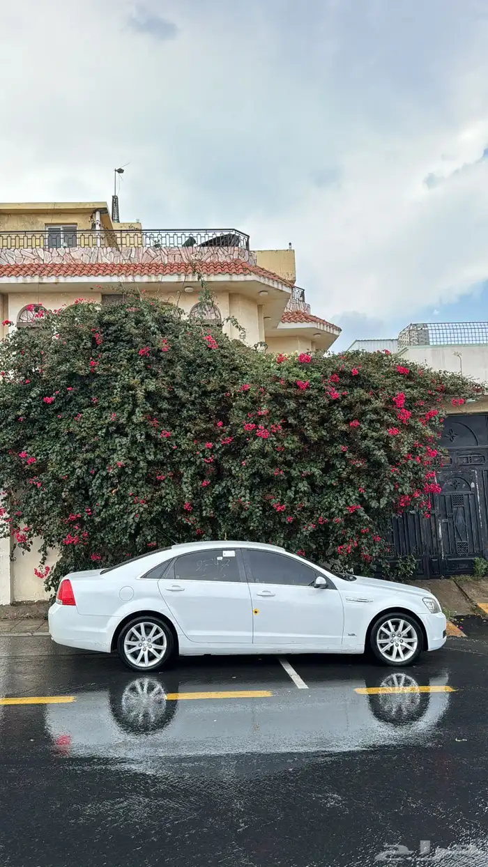 كابرس 2015 LS 9