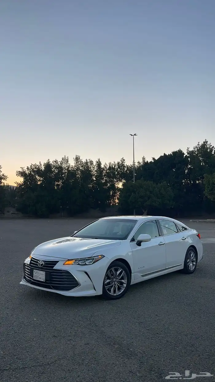 افلون 2020 تورنق 0