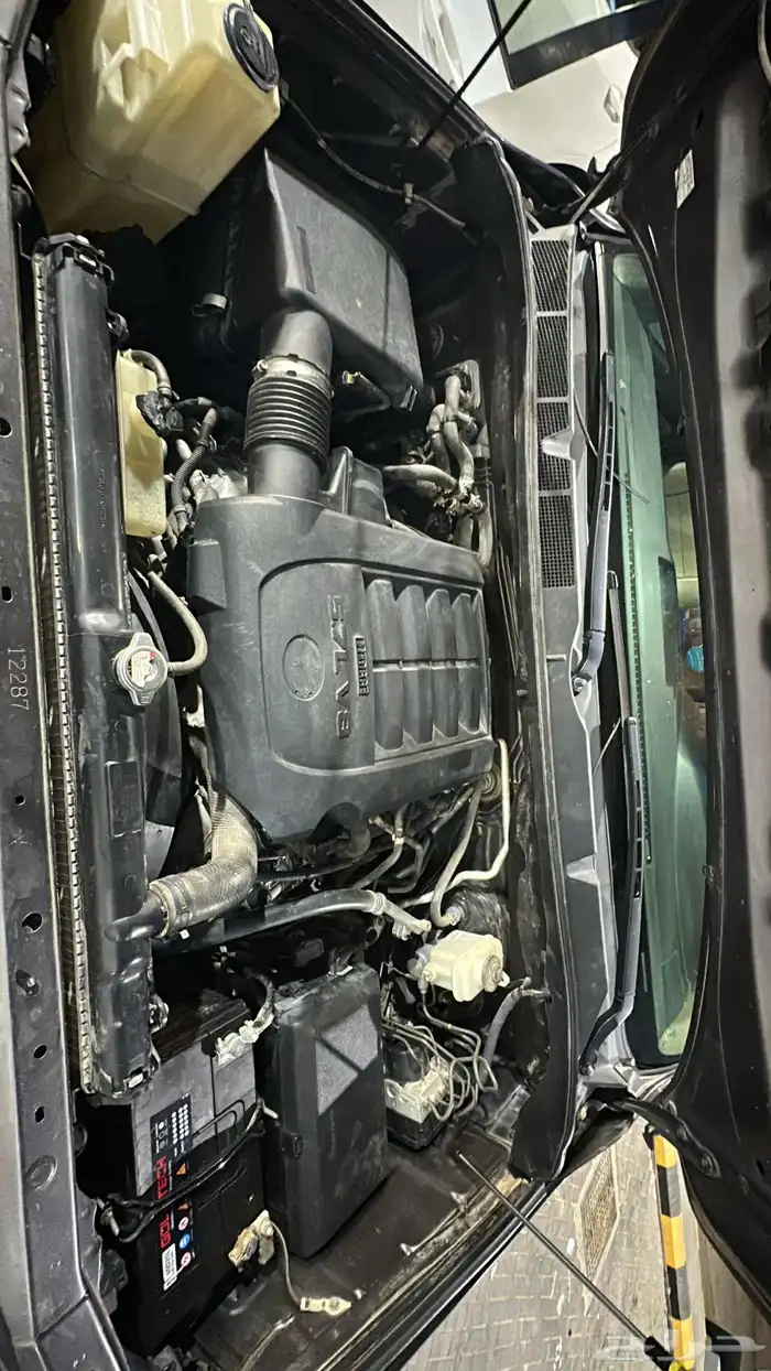 سيكويا مالك اول وكاله 2