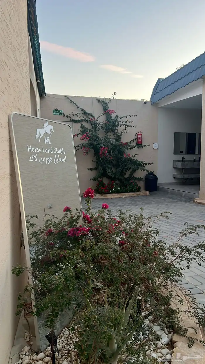 اسطبل هورس لاند للإيواء والتدريب 8