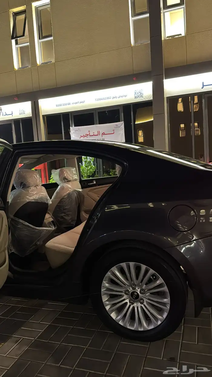 كادينزا 2014 12