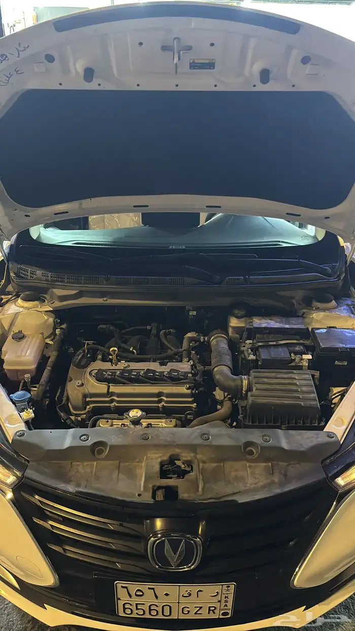 شانجان السفن 9