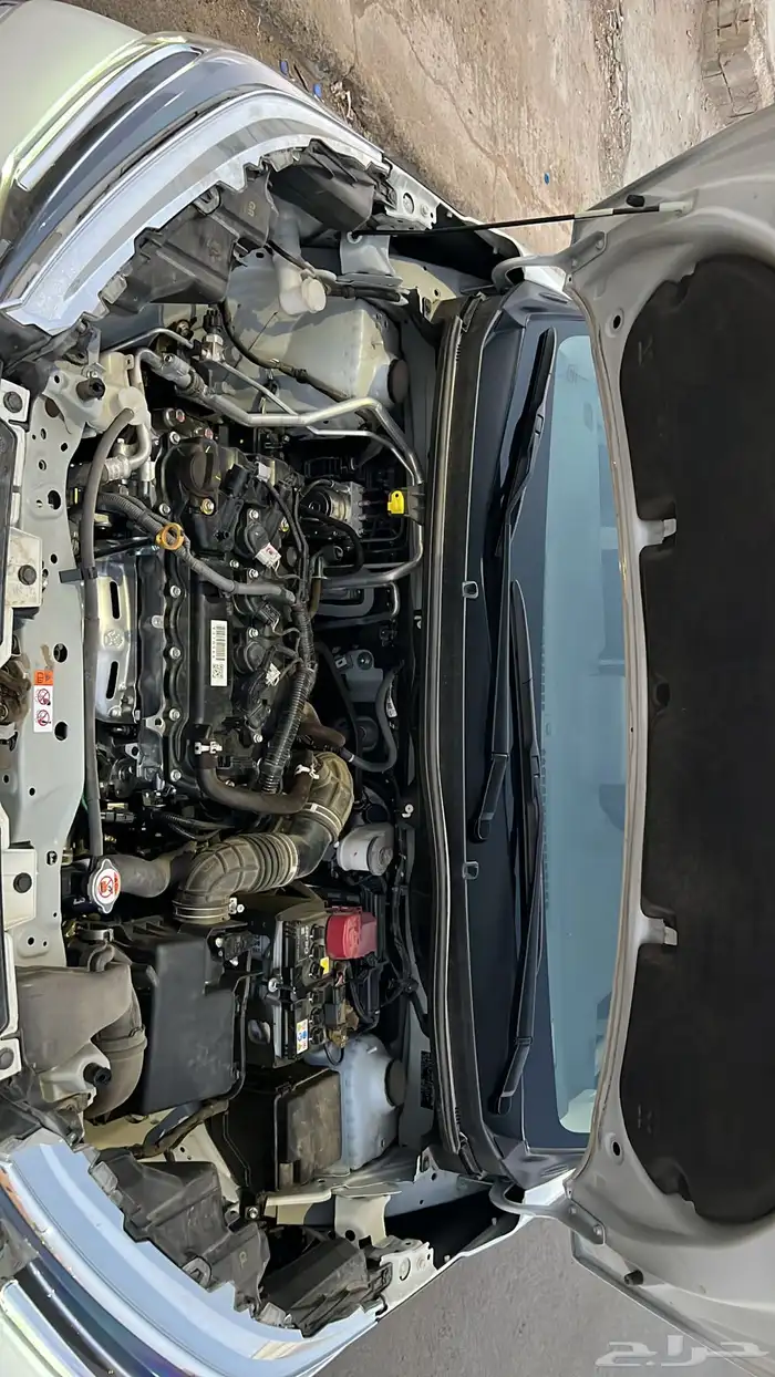 لتنازل فيلوز 2024 وكاله 11