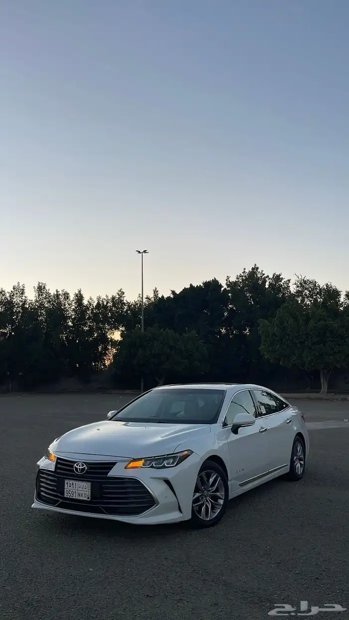 افلون 2020 تورنق 1