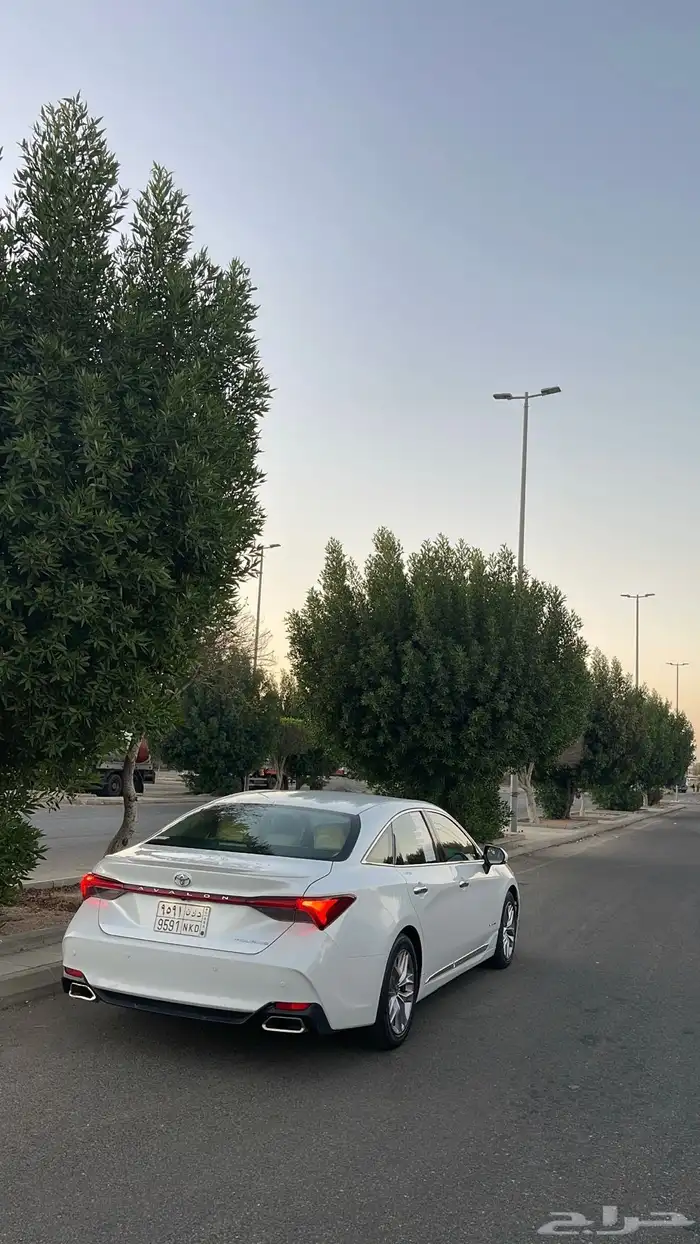 افلون 2020 تورنق 2