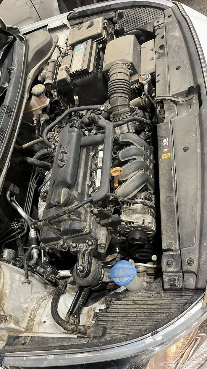 اكسنت2020 استاندر 14