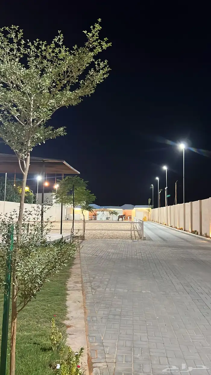 اسطبل هورس لاند للإيواء والتدريب 0