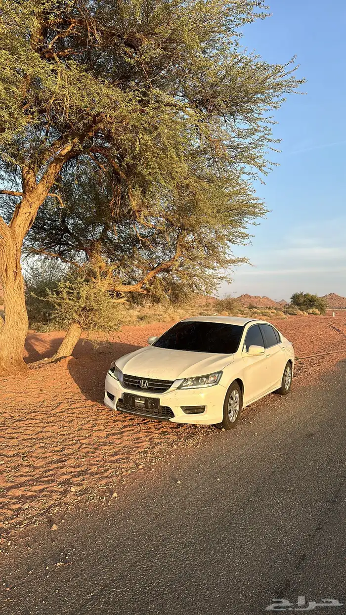 هواندا اكورد 2013 8