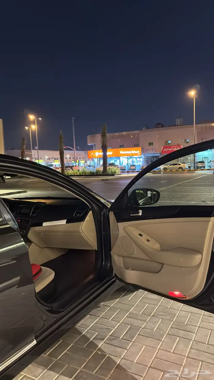 كادينزا 2014 10