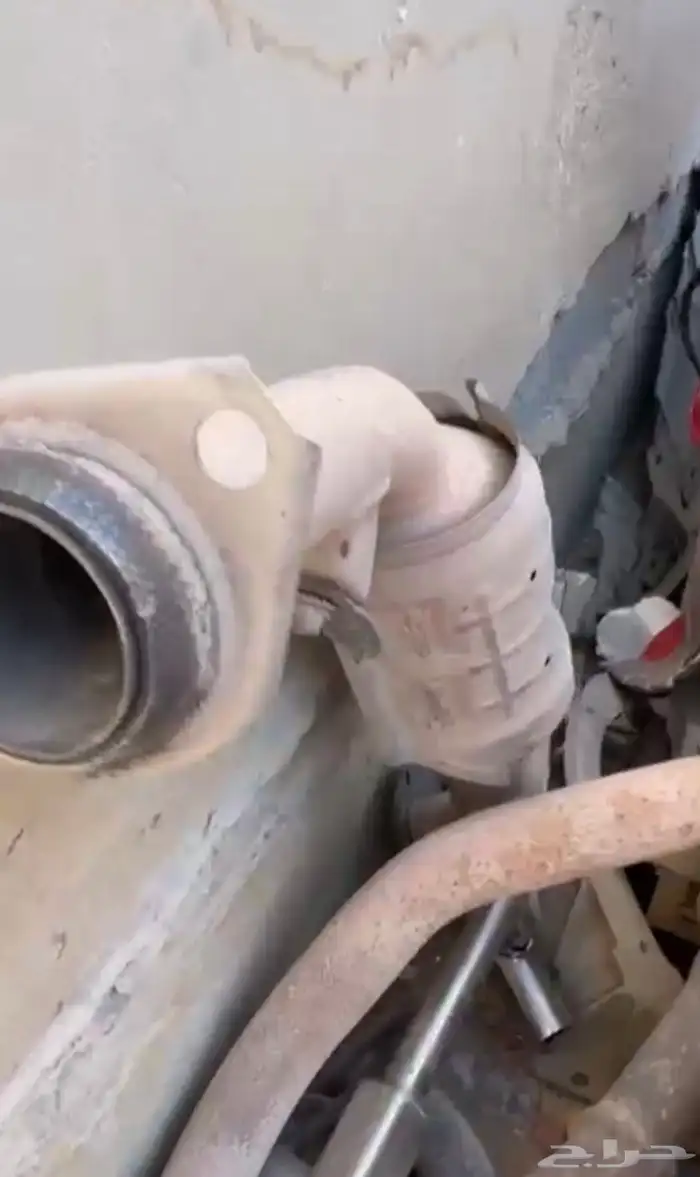 دبات تلوث رصاص للشاص راسين 2