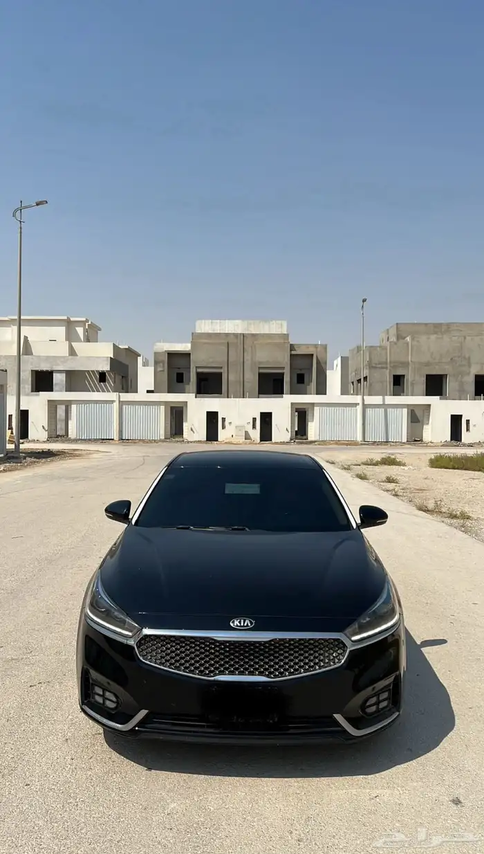 كادينزا 2018 3