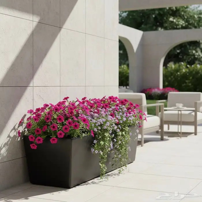 مع مراكن الامواج غير شكل بيتك 2