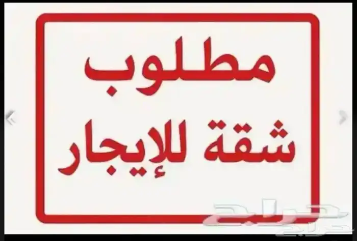 بحث عن شقه بلاطه ثلاث غرف ايجار شهري 0