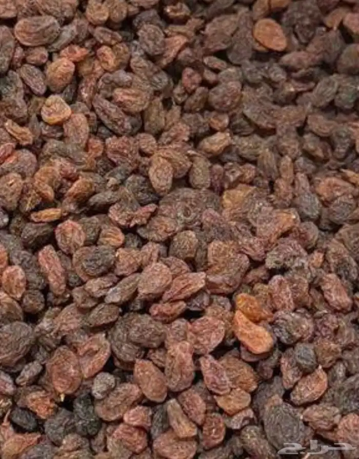 ياأهل الحلال يوجد زبيب عنب للغنام مفيد جدا افضل من الشعير و 0