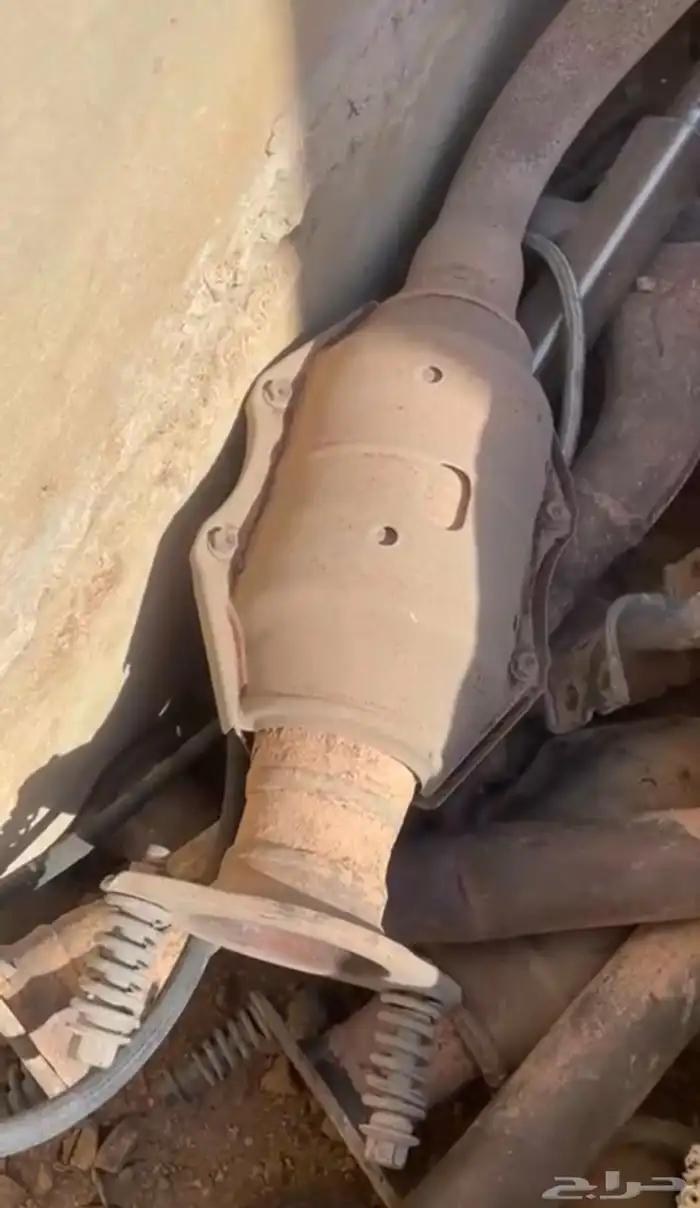 دبات تلوث رصاص للشاص راسين 0