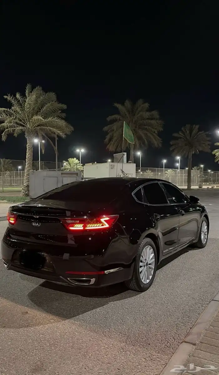 كادينزا 2018 1