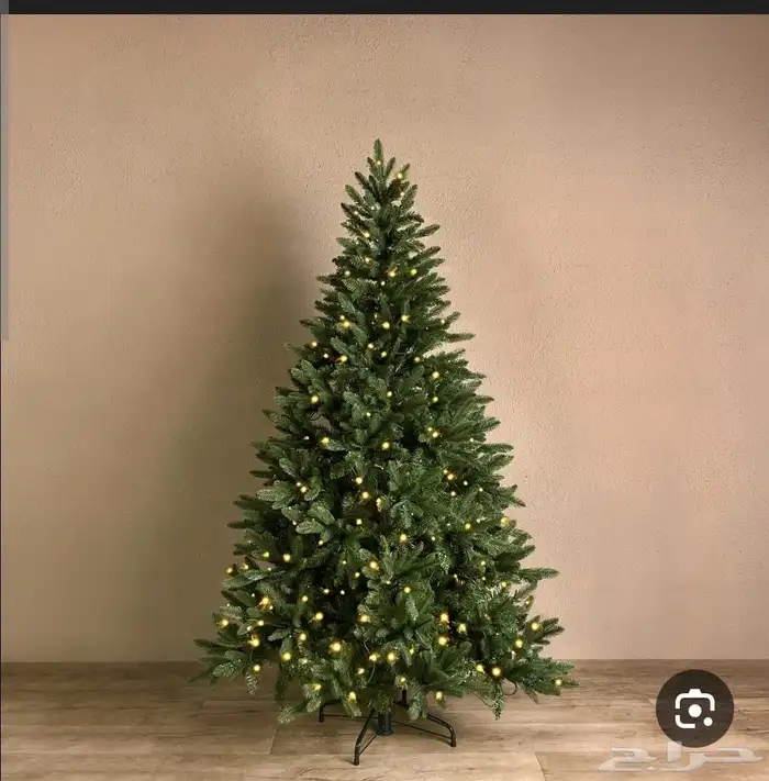 شجر سنايع ورد أي نوع فصل انشاءالله 13