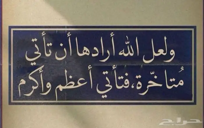 أبحث عن عمل 9