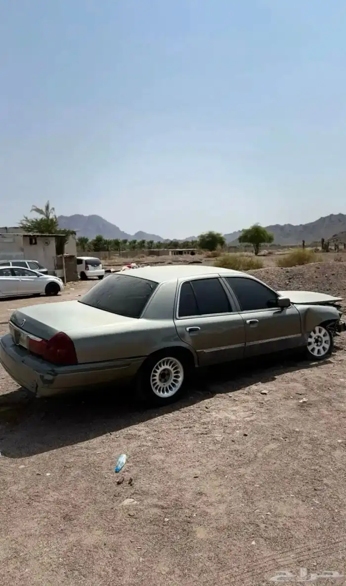 تشليح او قطع الاستماره منتهي 9 سنوات 5