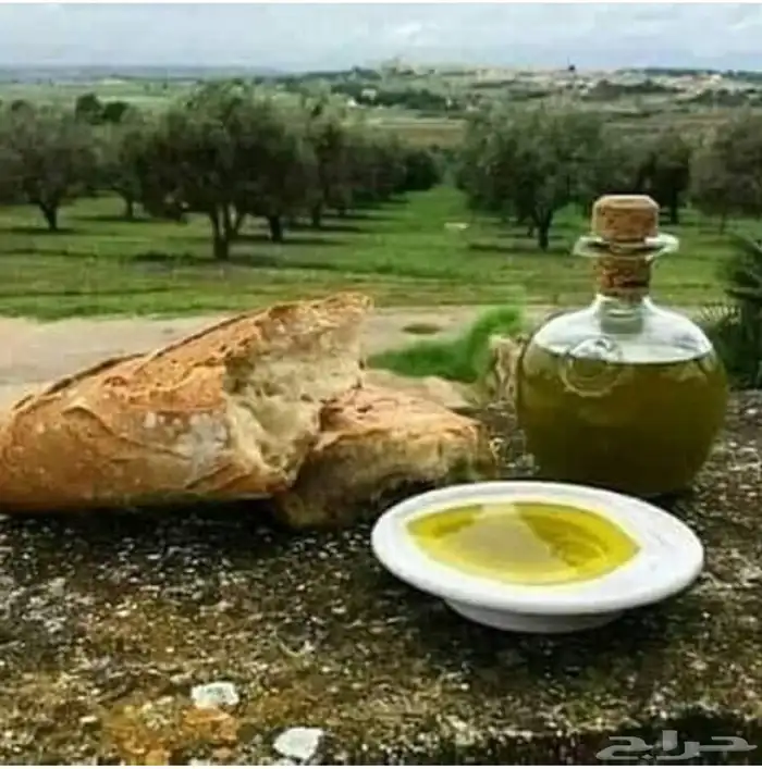 زيت زيتون فلسطيني جديد عصرة بكر معصور ع البارد لكل المدن 1