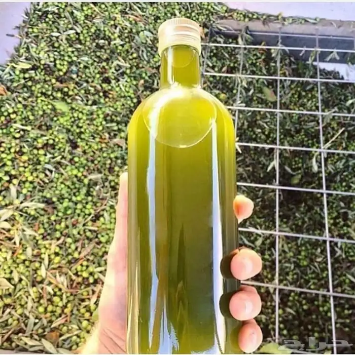 زيت زيتون فلسطيني جديد عصرة بكر معصور ع البارد لكل المدن 3