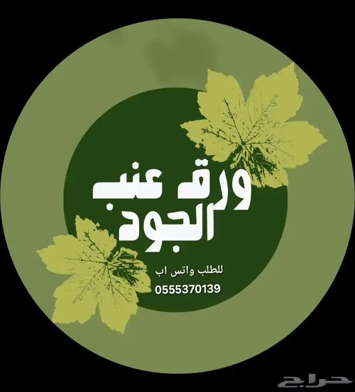 معجنات ورق عنب كاسات حلا 1