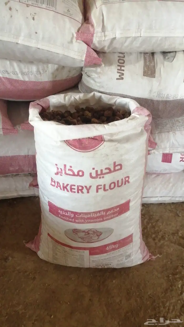 تمر علف للحلال ناشف أكياس مليانه ماشاء الله تبارك 1