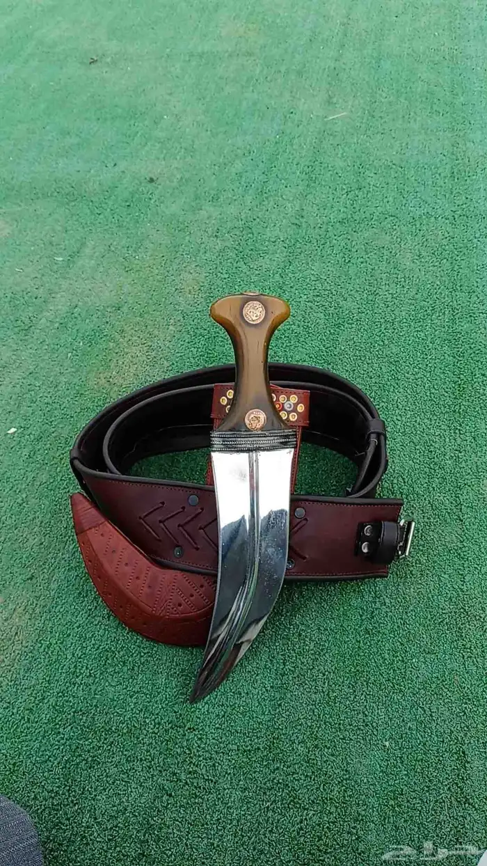 جنبيه مشرقي شبيه زراف كفو 1