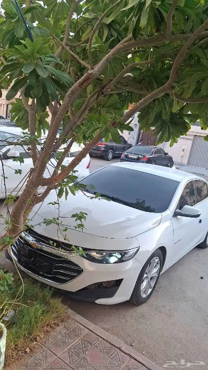شفروليه ماليبو 2022 LS 7