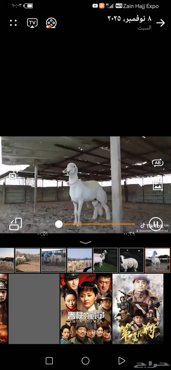 طلي فحل مطور 0