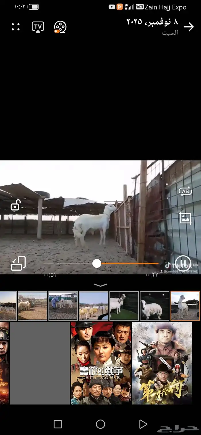 طلي فحل مطور 2