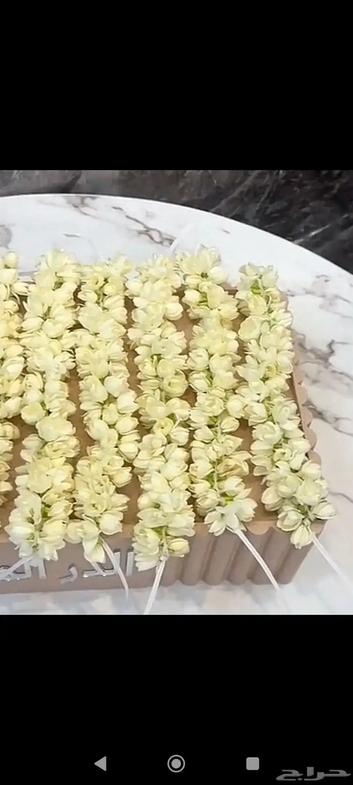 فل ورد طبيعي لتواصل والحجز وتساب 7