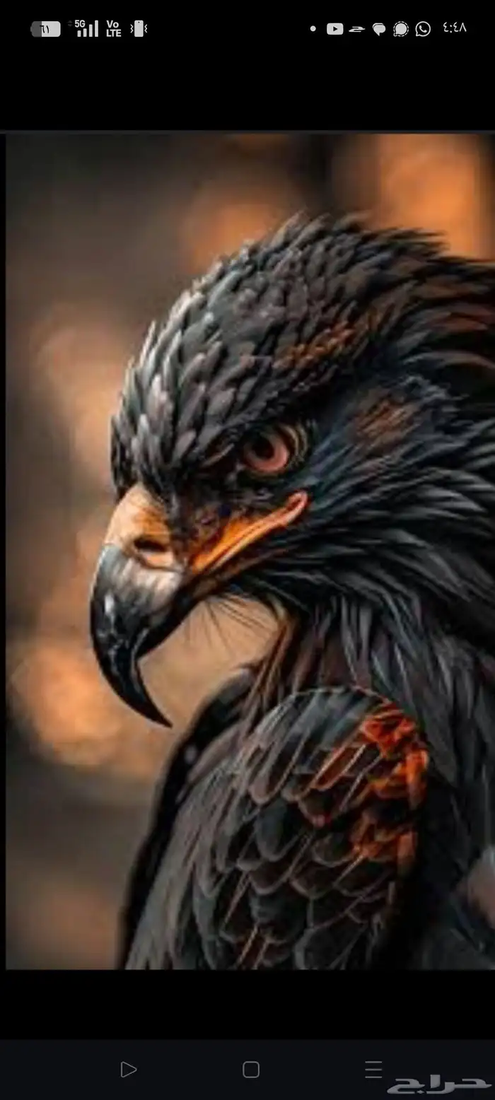 صاحب سكور 750 حياك الله 0