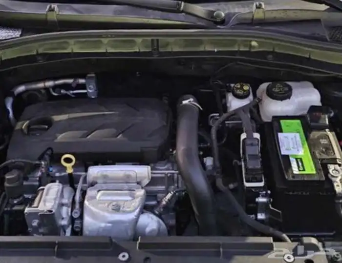 ام جي زد اس2024 فل اوبشن ممشى 3000 كم جديده 3