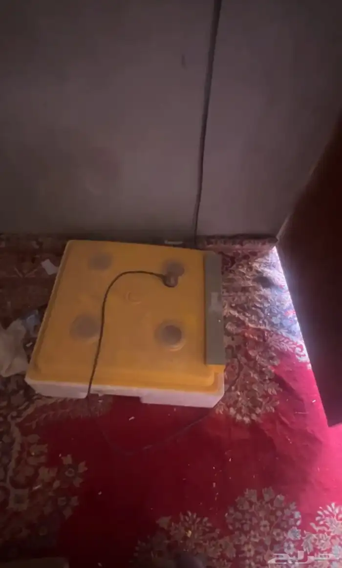 فقاسه 98 بيضه جديده 0